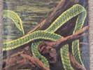 Rainforest Spiritual Enslavement ?– Green Graves 3 X Vinyl LP, Cyan