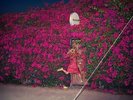FEIST - PLEASURE (VINYL)