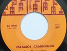 LOS DEMENTES ESTAMOS CAMINANDO / CATALINA 45 HEAR GOOD TUNE