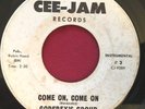 GODFREY'S GROUP   THE TRIP/COME ON   RARE GARAGE PSYCH NORTHERN SOUL 45 CEE-JAM