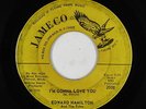 Northern Soul 45 - Edward Hamilton & Fifes - I'm Gonna Love You - Jameco - mp3
