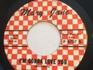 Rare Detroit Northern Soul 45 - Edward Hamilton - I'm Gonna Love You - Mary Jane