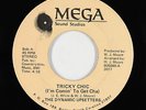 Modern Funk/Sweet Soul 45 - Dynamic Upsetters - Tricky Chic - Mega - mp3