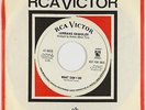 Northern Soul 45 - Lorraine Chandler - What Can I Do - RCA Victor - mp3