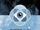 Able Baker Fox - Visions (Vinyl Used Like New)