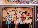 The Beatles - Strawberry fields forever album