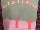 Algernon Cadwallader “Some Kind of Cadwallader” /300 Marika Cap'n Jazz Snowing