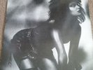 Siouxsie & The Banshees - 