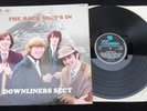 The rock sect's in - Downliners Sect  LP -  1966