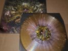Ingested surpassing LP Infant Annihilator Devourment Carnifex Chelsea Grin