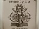 Mumford & Sons Roll Away Your Stone 7