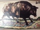 Bull Angus 1971 Self Titled 1st LP Mercury 619 Hard Psych Rare VG/EX