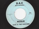 SURF GUITAR INSTRUMENTAL- DAVE & THE CUSTOMS- 