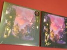 Shakey Graves SIGNED Can't Wake Up 2018 Vinyl Autographed LP Record NEW Album