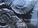 THE SUNDAYS Reading, Writing and Arithmetic LP Vinyl RSD 2018 NEW SEALED