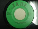 Unknown garage guitar 45 rocker Jade It don't pay to lie on Swing NM- LISTEN