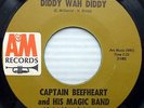 CAPTAIN BEEFHEART orig. A&M DIDDY WAH DIDDY WHO DO YOU THINK YOU'RE FOOLING ak12