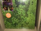 Animal Collective Water Curses Vinyl EP Sealed Free Download Domino Records
