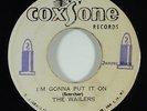 Wailers/Winston Stewart 