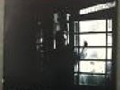 Queen Elvis - Robyn Hitchcock 'n' The Egyptians LP - 1989 -  A&M Records ?– EX