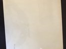 beatles white album vinyl