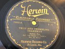 1920s COUNTY TAYLORs KENTUCKY BOYS (Ex Electrobeam Gennett) Herwin 75552 E-