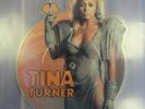 Tina Turner Picture Disk, Single, Mad Max 3, We don't need another Hero, Vinyl