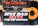 THE RIP CHORDS  