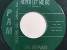 * SHEPPARDS Never Let Me Go/Give a Hug CHICAGO R&B SHOUTER ROCKER Pam 45 Hear