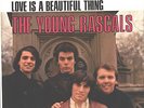 YOUNG RASCALS--PICTURE SLEEVE + 45--(YOU BETTER RUN)---PS--PIC--SLV