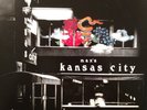 VELVET UNDERGROUND Live at Max's Kansas City 180-gram Rhine re-issue LP Like-NEW