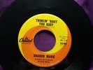 Wow  Rare 45  Sharon Marie  Thinkin'Bout You Baby  Brian Wilson