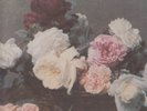 new order power corruption lies lp original