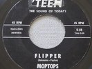 MOPTOPS Flipper / Mop-Top (1965 US 45) Rare Hawaii Garage, LISTEN MP3