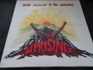 Bob Marley & the Wailers Uprising Tuffgong Island German  LP NM Shipping 4$