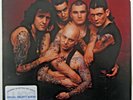 ROSE TATTOO SCARRED FOR LIFE / ORIG 1982 MIRAGE LP 90022 UNPLAYED VINYL IS MINT
