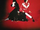 Elephant by The White Stripes Original Double LP colored vinyl