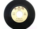 RIVER CITY FUNK BAND FELL INTO A BAG 45 RARE KENTUCKY FUNK RDM 988 Soul Train