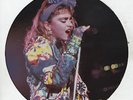 Madonna picture disc Rare DL 59A Interview Disc