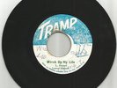 LEROY SMART / WRECK UP MY LIFE / VERSION / 7''/ VG / VG-