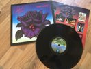 Thin Lizzy Black Rose 1979 UK Vertigo LP vinyl record NM/EX