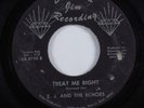 Northern Soul 45 E.J. AND THE ECHOES Treat Me Right DIAMOND JIM HEAR