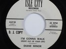 Northern Soul 45 DIANE MINOR I'm Gonna Walk... ISLE CITY promo HEAR