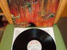 Slayer- Hell Awaits- Vinyl LP- 1985- NL