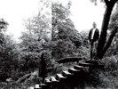 TIMBER TIMBRE-TIMBER TIMBRE  VINYL LP NEUF