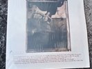 Pixies Surfer Rosa Original vinyl 1988 CAD803