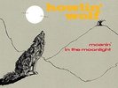 HOWLIN WOLF - MOANIN IN THE MOONLIGHT NEW VINYL