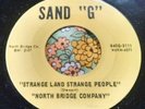 Rare Illinois Garage Psych 45 North Bridge Company Crying / Strange SAND G HEAR