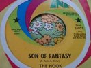 Thunderous Acid Garage Psych Wig Out 45 The Hook Son of Fantasy / Plug NM HEAR