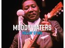 Muddy Waters ROLLIN' STONE Best Of 42 Essential Songs NEW COLORED VINYL 3 LP